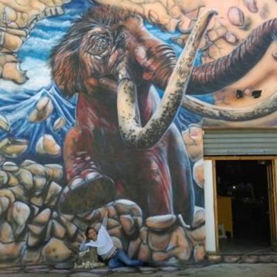 Ideas y precios para pintar un mural - Habitissimo