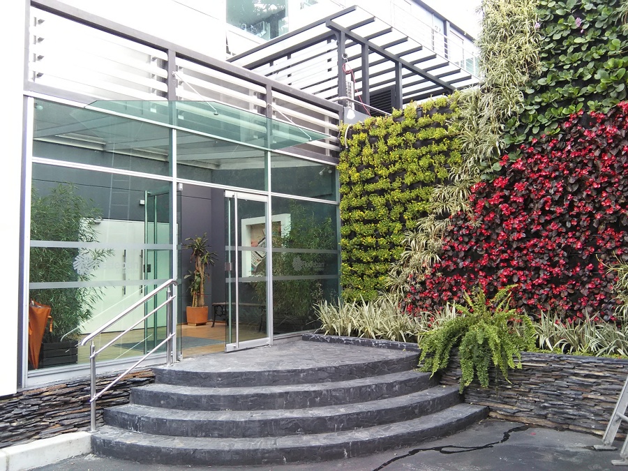 Jardines verticales