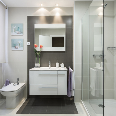 Cambiar los muebles del baño