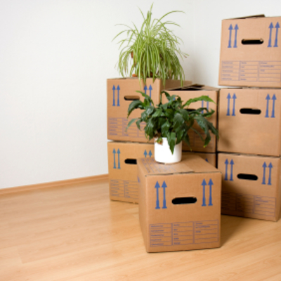 Cajas de cartón