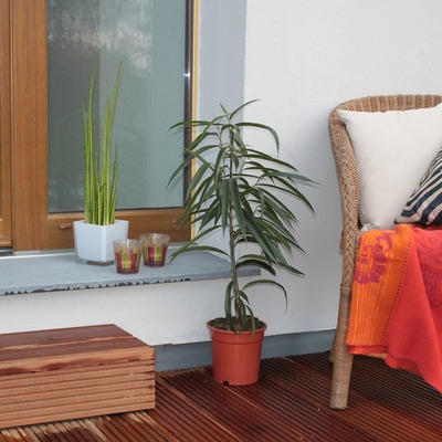 Reformar la terraza