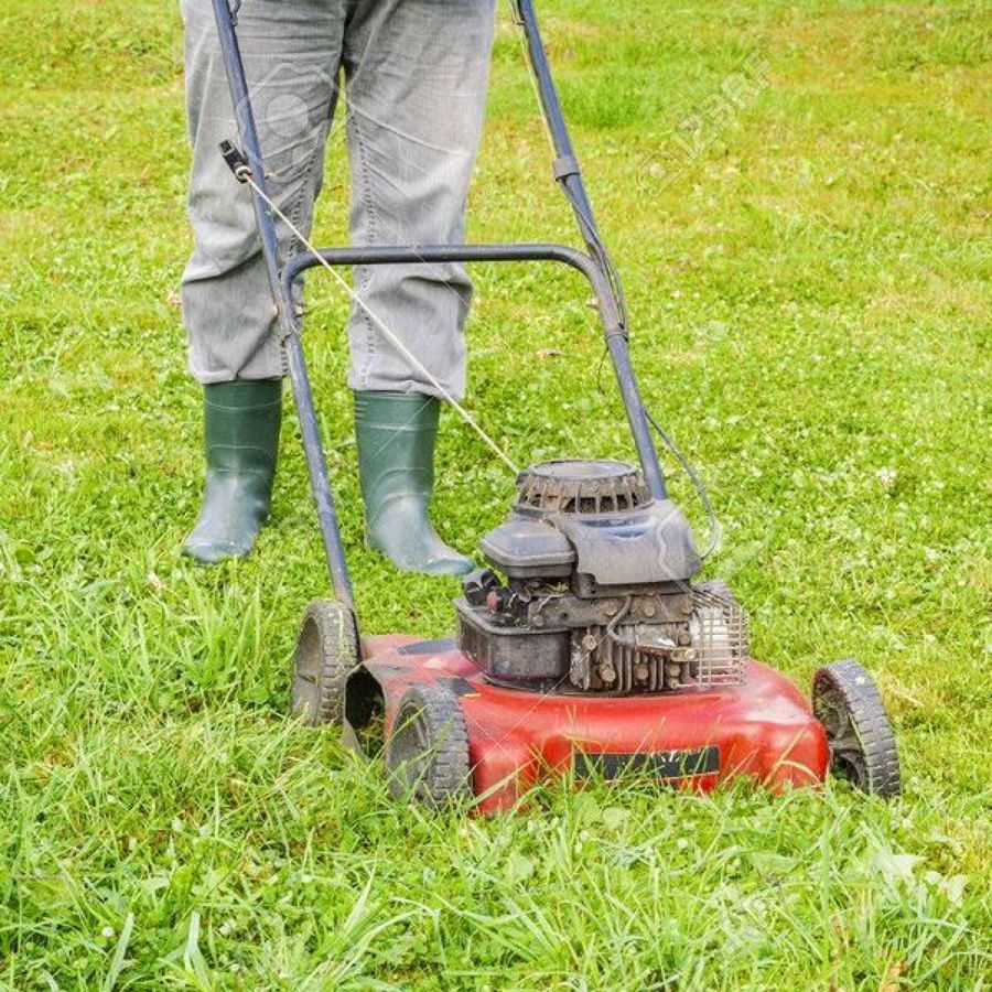 Consejos antes de contactar un jardinero