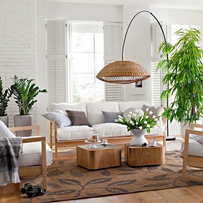 Decorar con plantas