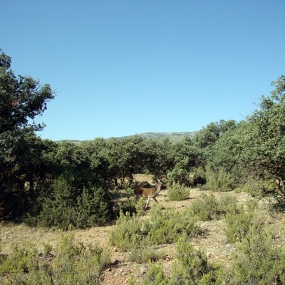Estudios de impacto ambiental