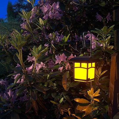 Iluminación decorativa