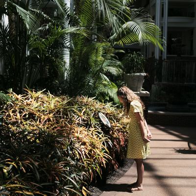 Hormigón impreso en jardines