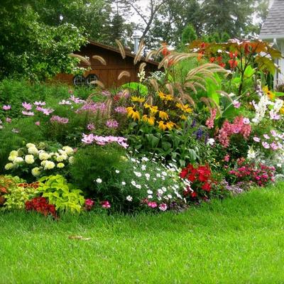 Plantar en el jardín