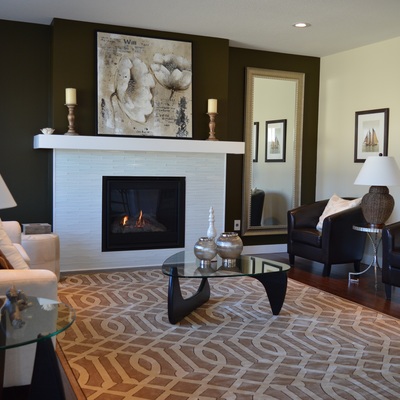 Otros combustibles para chimeneas