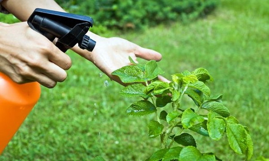 Mantenimiento y control de plagas