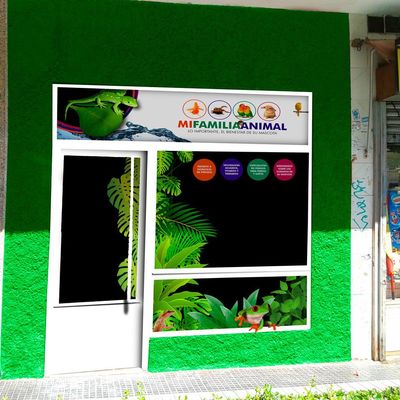 Pintar la tienda de animales