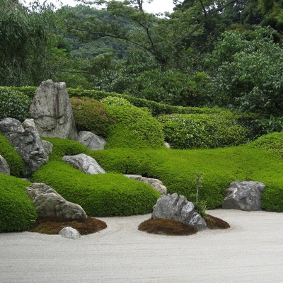 Cesped japonés