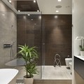 Ducha