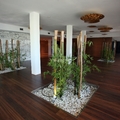 Revestimientos Interiores en MADERA NATURAL