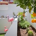 Proyecto PIPA 1
