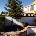 mantenimiento jardin