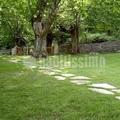 Jardineros, Podas, Riegos