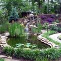 Jardineros, Podas, Riegos