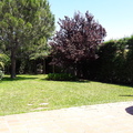 Pradera en perfecto estado 