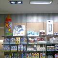 Electricistas