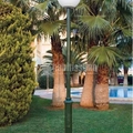 Materiales Construcción, Electrónica, Pavimentos