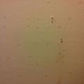 Alisado de pared de habitacion