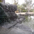 AVIAPARK