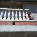 balustradas