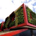 BEARDON ECOHOUSE