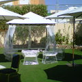 CARPA ACABADA