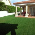 cesped perfecto