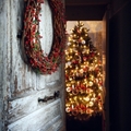 Colección Navidad 2012