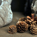 Complementos decorativos