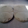 Conchas - piezas ornamentales