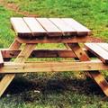 Conjunto picnic