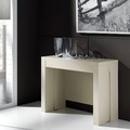 Consola extensible Silvia