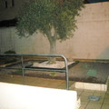 diseño jardines