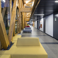 DUOC Arauco