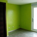 EFECTOS DE PINTURA