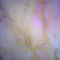 Efectos relieve