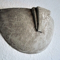 Escayola