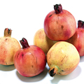 Frutas Artificiales - Granadas