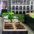 FRUTERIA