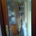 fusing y estria
