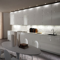 gatto cucine