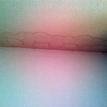 goteras