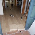 instalacion de tarimas