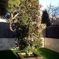 JARDÍN PARTICULAR EN NAVARCLES