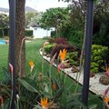 Jardín particular