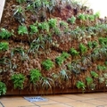 Jardín Vertical