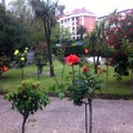 jardineria colegio reina inmaculada